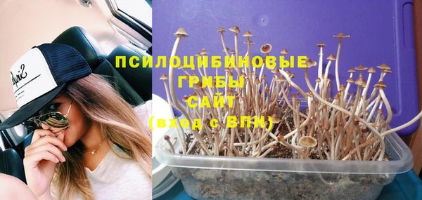 бутират Вяземский