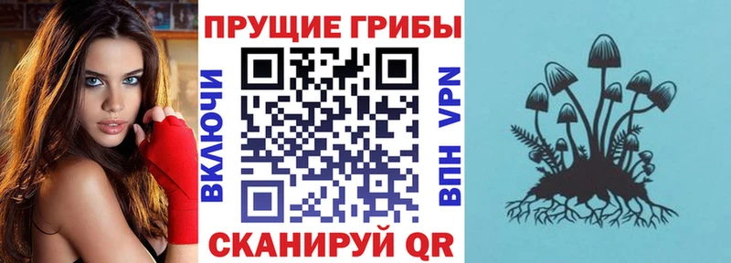 Галлюциногенные грибы Cubensis это состав Псков